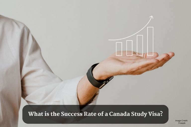 What is the Success Rate of a Canada Study Visa?